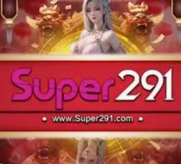 super291